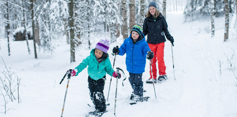 Snowshoe Trek Through the Woods